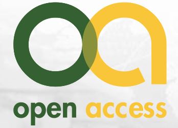 Informationsplattform Open Access. Geschichtswissenschaften