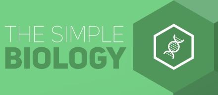 The Simple Biology - Lernvideos zu Biologie