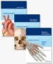 Thieme Bilddatenbank Anatomie